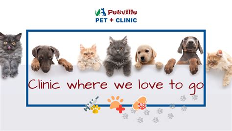 AliVet Animal Clinic.